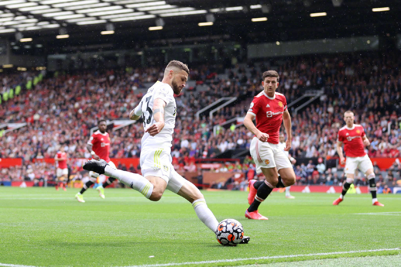 生存危機 生存危機